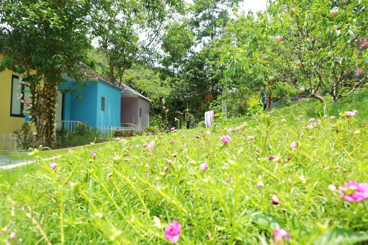 Windy Hill Catba Homestay Hải Phòng Extérieur photo